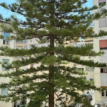 Apartment Sea La Vie *